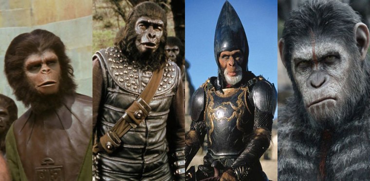 Evolução-dos-macacos