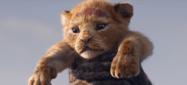 simba-o-rei-leao-live-action
