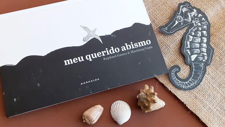 Capa da resenha de "Meu querido abismo".